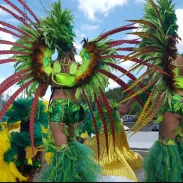 Parade samba dancers