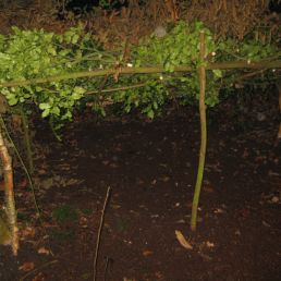 Bushcamp