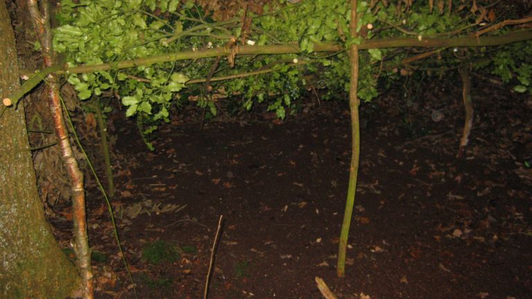 Bushcamp