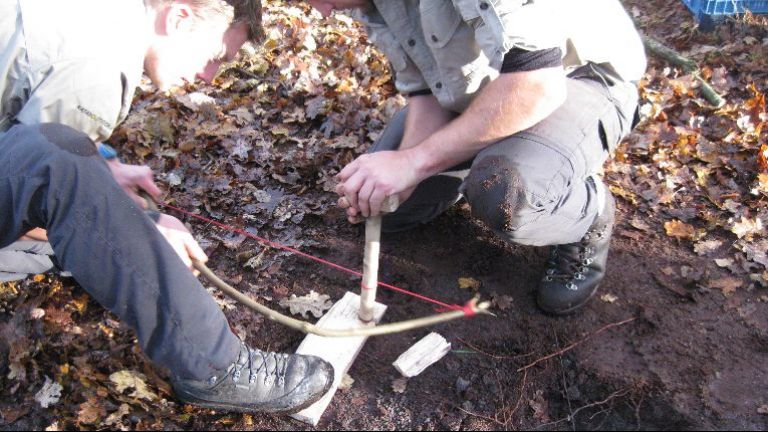 Bushcraft