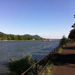 Rhine water game