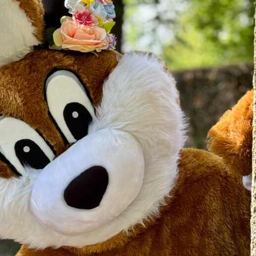 Character/Mascott Zoetermeer  (NL) 