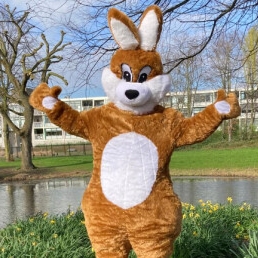 Character/Mascott Zoetermeer  (NL) The Easter Bunny | Easter Easter Eggs