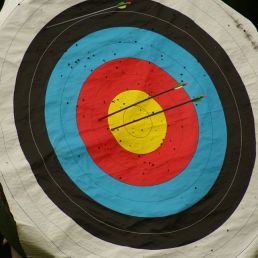 Shooting Skills