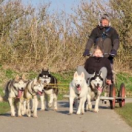 Sledehonden workshop