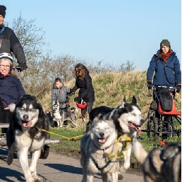 Private sled dog cart ride & hike