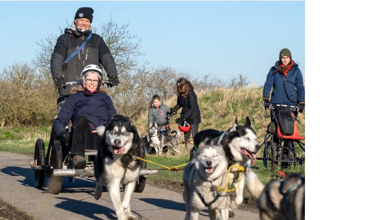 Private sled dog cart ride & hike