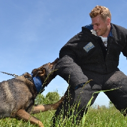 Trainer/Workshop Nieuwerkerk aan den IJssel  (NL) Gripping with certified dogs