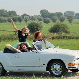 De Pauwergirls