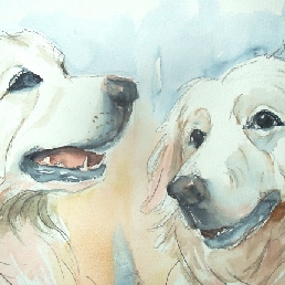 Honden en poezen tekenaar