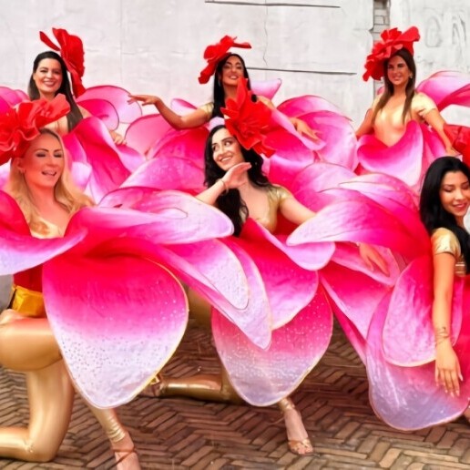 Dancer Amsterdam  (NL) 