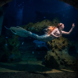 Zeemeermin onderwatershow