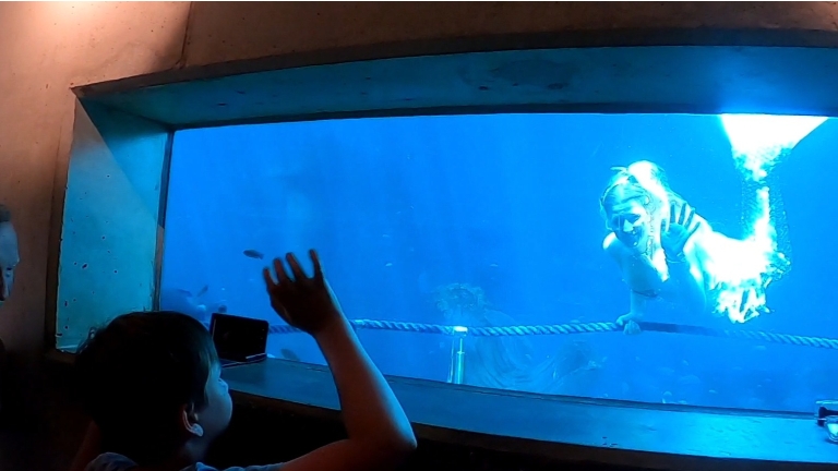 Mermaid underwater show