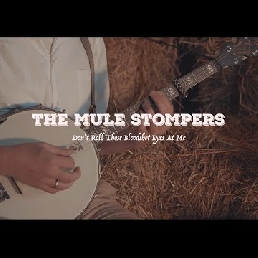 The Mule Stompers