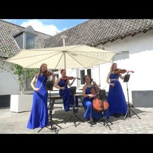 Musician other Amsterdam  (NL) 