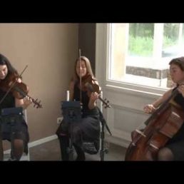 Strijktrio Amsterdam/ String trio
