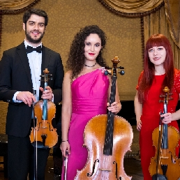 London Strings's Quartet