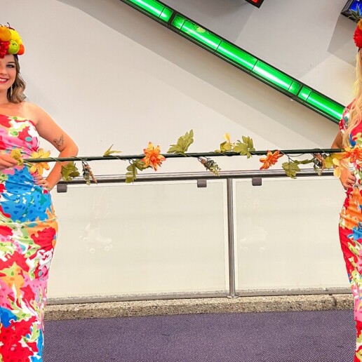 Dancer Noordwijkerhout  (NL) 