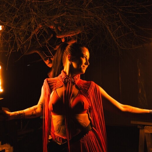 Stunt show Roelofarendsveen  (NL) 