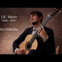 Acoustic/Classical Guitarist for Wedding