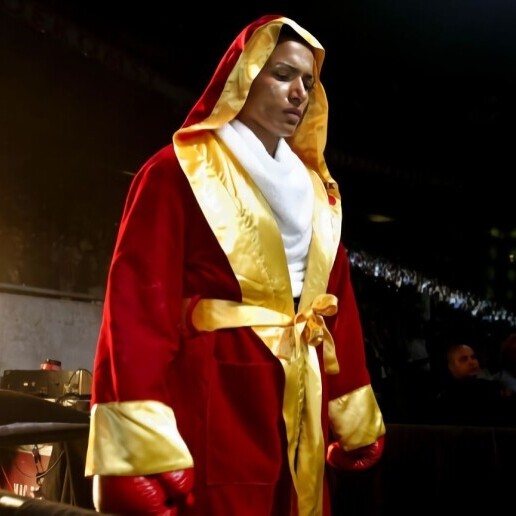 Trainer/Workshop Amsterdam  (NL) 