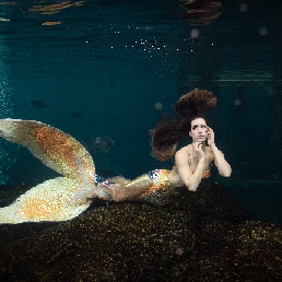 Celine: Mermaid Meet & Greet