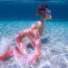 Celine: Mermaid Shows