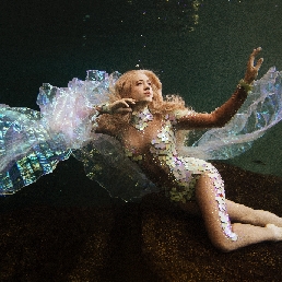 Celine: Mermaid Shows