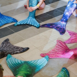 Celine: Mermaid Birthday Parties