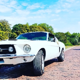Peter: 60s Mustangs