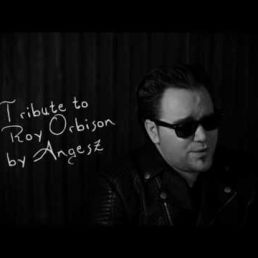 Singer (male) Roosendaal  (NL) 