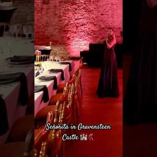 Violinist Amsterdam  (NL) 