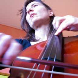 Muzikant overig Warfhuizen  (NL) Cello, Viola da Gamba, Barokcello