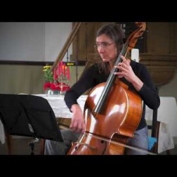 Cello, Viola da Gamba, Barokcello