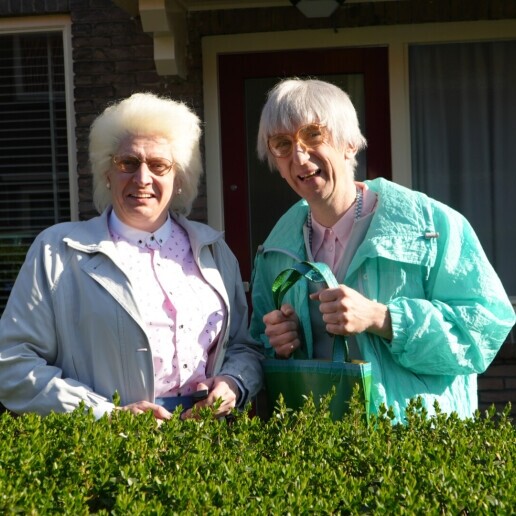 Actor Nieuwegein  (NL) 