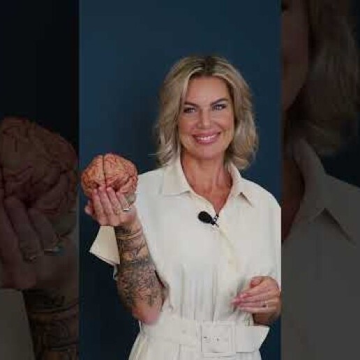 Speaker Leidschendam  (NL) 