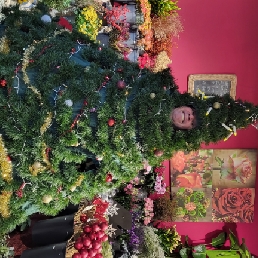 Hans: Wandelende Kerstboom