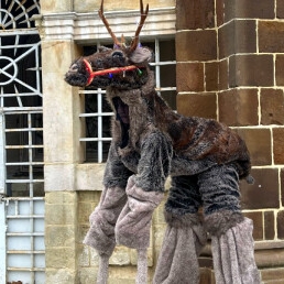 Reindeer on Stilts - Christmas-winter act