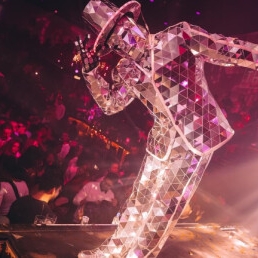 Dancer Spijkenisse  (NL) Robot Mirror Man