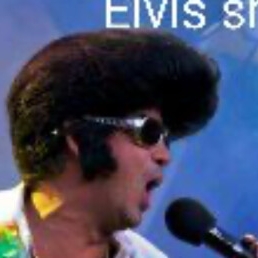 De Elvis Show