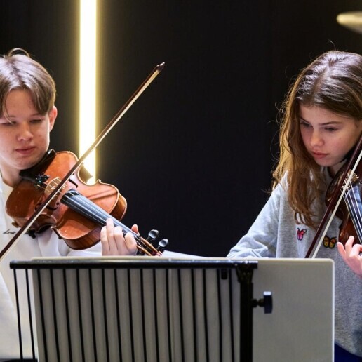 Violinist Den Bosch  (NL) 