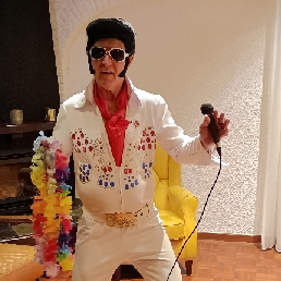 Elvis imitator/act/zanger/tribute/