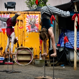 Circus Variate show