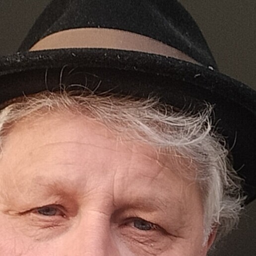 Singer (male) Dordrecht  (NL) 