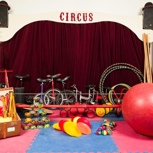 Trainer/Workshop Eefde  (NL) 