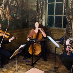 The Spieghel, String Trio