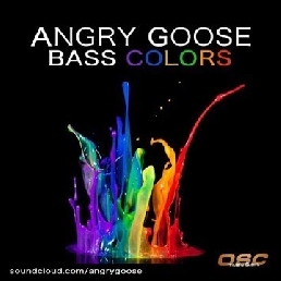 DJ Lelystad  (NL) Bass Colors