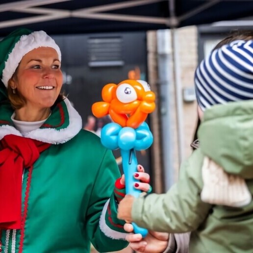 Balloon artist Dedemsvaart  (NL) 