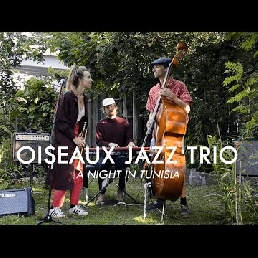 Band Amsterdam Zuidoost  (NL) Oiseaux Jazz Trio