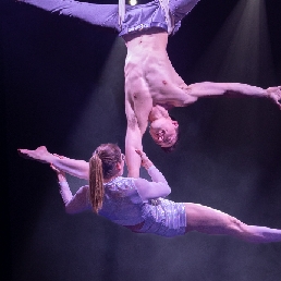 Aerial acrobatics duo - Halo